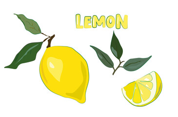 lemon fruit vector illustration clipart