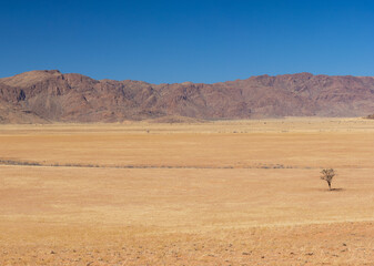 Fototapeta na wymiar stunning view of african plains, Namibrand (Wolwedans)