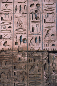 Hieroglyphs  on temple wall, Egypt. (detail)