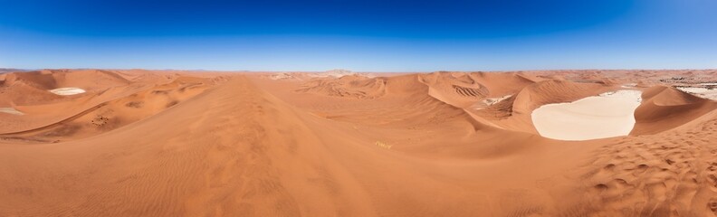 Fototapeta na wymiar panorama of dead vlei with big daddy dune at sossusvlei