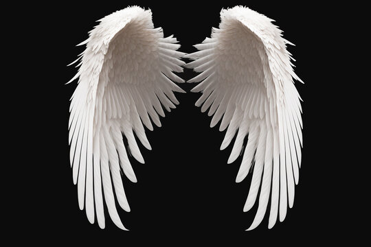 Angel Wings Transparent Images – Browse 9,251 Stock Photos