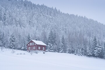 Scandinavian house on a forested and snow-covered slope - 563001706