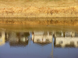 住宅を映す冬の調整池