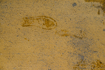 Wet footprints from the soles of shoes on the asphalt, on the yellow road