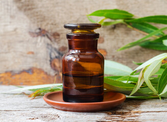 Pharmacy bottle with willow bark extract (tincture, infusion). Willow leaves close up. Old wooden background. Aromatherapy, spa and herbal medicine concept. - obrazy, fototapety, plakaty