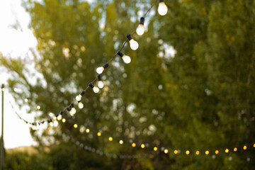 Luces en la campiña