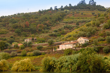 Landscape view of the beautiful douro river valley in Portugal
