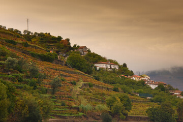 Fototapeta na wymiar Landscape view of the beautiful douro river valley in Portugal