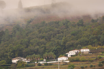 The beautiful landscape of the Douro Valley in Portugal and its unique architecture
