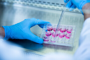 cell culture laboratory