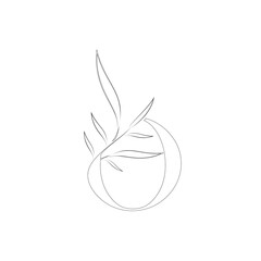 Aesthetic floral letter o line logo