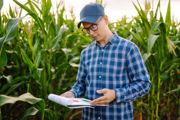 Young farmer standing in corn field examining crop. Harvest care concept.