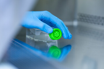 cell culture laboratory