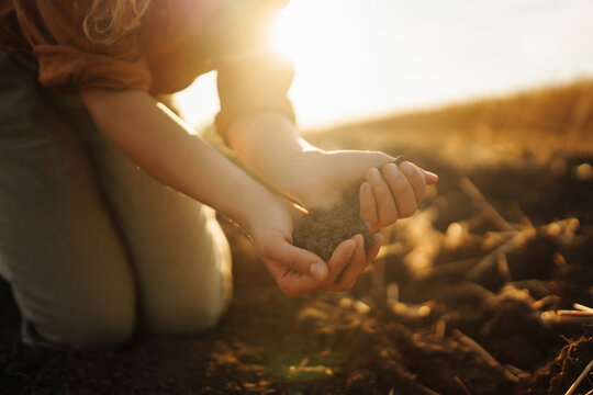 Female hands checking soil health before growth a seed of vegetable or plant seedling. Business or ecology concept.