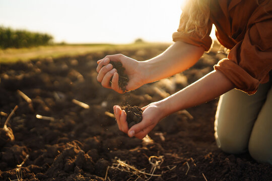 Female hands checking soil health before growth a seed of vegetable or plant seedling. Business or ecology concept.