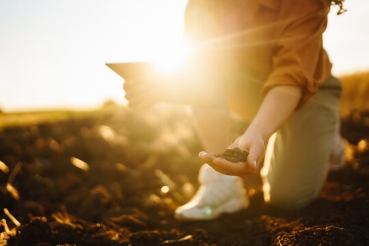 Female hands checking soil health before growth a seed of vegetable or plant seedling. Business or ecology concept.