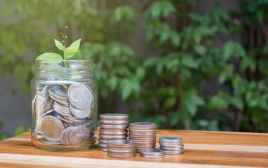 coin growing up with little sprout on top of the jar and fairly growing light. concept of investment and money saving