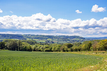 Abberley hills in the Summertime.