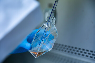 cell culture laboratory