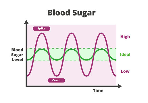 Blood sugar chart isolated on a white background. Blood sugar balance levels, blood sugar roller coaster, diabetes. Normal or ideal, low and high unstable levels with spike and crash.