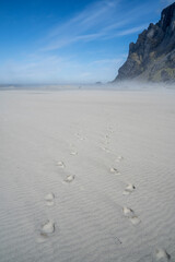 Human footprints on the Bunes beach in Lofoten, Norway, during a windy day with sand, in spring on a clear sunny day with some clouds