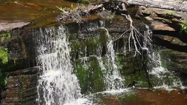 Tahquamenon lower falls , Upper Peninsula Michigan waterfall in the park
