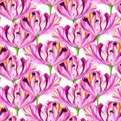 Watercolor tulips in a seamless pattern. Can be used as fabric, wallpaper, wrap.