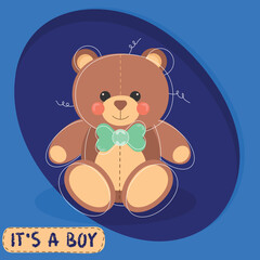 IT'S A BOY TEDDY BEAR
