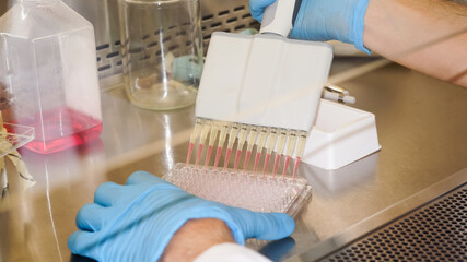 Cell culture laboratory at cell culture laboratory