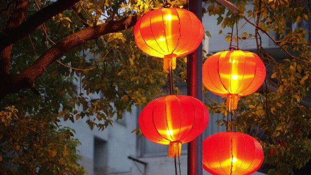 red lantern for chinese year