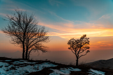 Fototapeta na wymiar Trees silhouette on the bright colorful sunset .