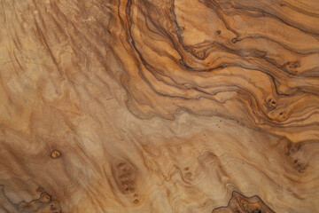 Olive wood texture background. Vintage wood. Surface of texture with natural pattern. Close up...