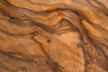 Olive wood texture background. Vintage wood. Surface of texture with natural pattern. Close up cross section of tree texture background.