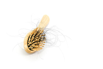 Hair loss stuck on the comb with white background concepts of hairloss problems or thin hair and scalp health.