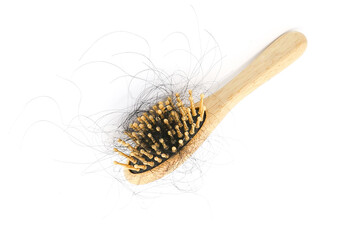 Hair loss stuck on the comb with white background concepts of hairloss problems or thin hair and scalp health.