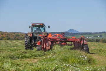 Mowing hay mower , rotary hay mower in a field on a sunny summer afternoon.  Agricultural machinery equipment.  