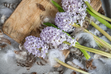 Hyazinthen Dekoration Frühling, Blüte auf Holzbrett, Flatlay Ostern