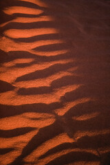 Ripples in Desert Sand Dune, Warm afternoon Sunlight and Cast Shadows, Natural Atmospheric...
