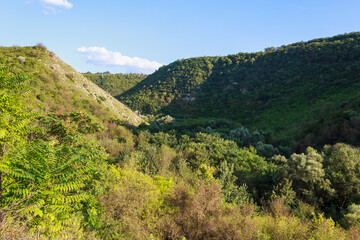 The hilly nature of Eastern Europe. Background with copy space for text, toned