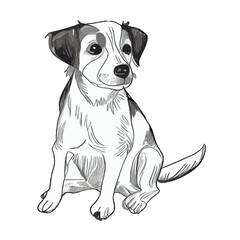 Cute dog drawing illustration cartoon vector graphic