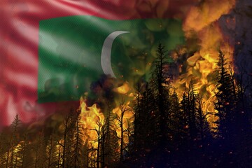 Forest fire fight concept, natural disaster - infernal fire in the woods on Maldives flag background - 3D illustration of nature