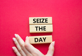 Seize the day symbol. Wooden blocks with words Seize the day. Businessman hand. Beautiful red background. Business and Seize the day concept. Copy space.