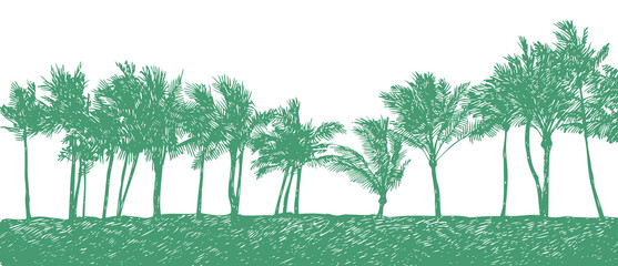 Tropical coast line with palm trees, sketch style,png