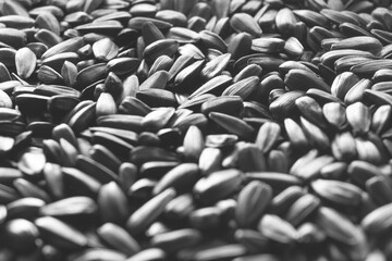 seeds background black and white