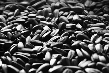 seeds background black and white