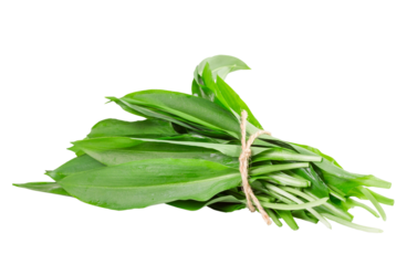 bunch of fresh rampson