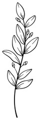 繊細な植物や花のボタニカルイラスト　ベクター素材