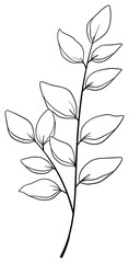 繊細な植物や花のボタニカルイラスト　ベクター素材