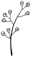 繊細な植物や花のボタニカルイラスト　ベクター素材