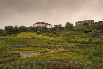 The beautiful landscape of the Douro Valley in Portugal and its unique architecture